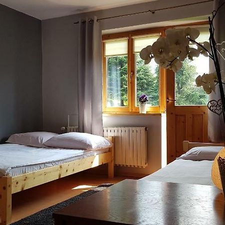 Rysiowka Apartment Poronin Bagian luar foto