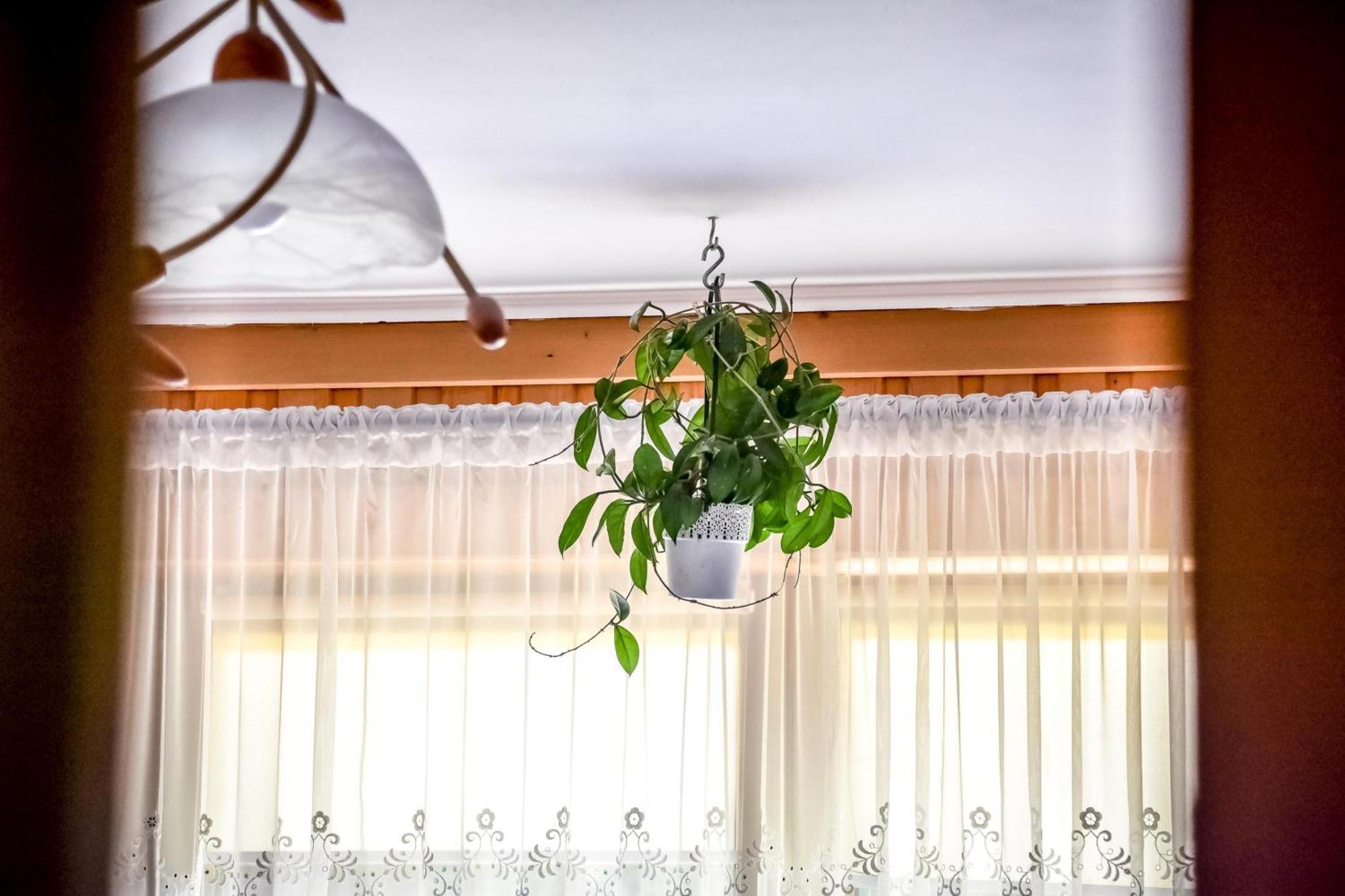 Rysiowka Apartment Poronin Bagian luar foto
